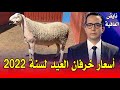 أخبار اليوم الاربعاء 15/06/ أسعار الخرفان العيد لسنة 2022