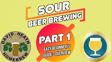 Sour Beer Brewing Beginners Guide 🍺 Part 1 Overview