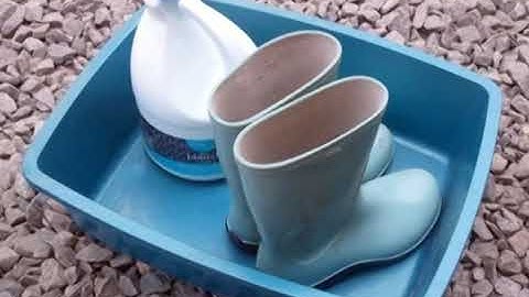 Poultry Farming | Course Code 211 | Program 4 | Broiler | AIOU