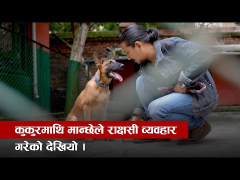 कुकुरको लागि जो गीत गाइरहेका छन् ।’ PRABIN BAJRACHARYA
