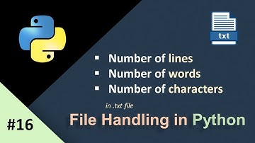 File Handling in Python Assignment|Find Number of characters,words and lines in File|Python Tutorial