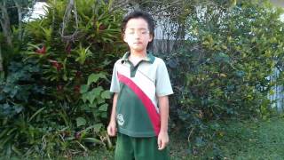ピコ太郎　PPAP in Australia