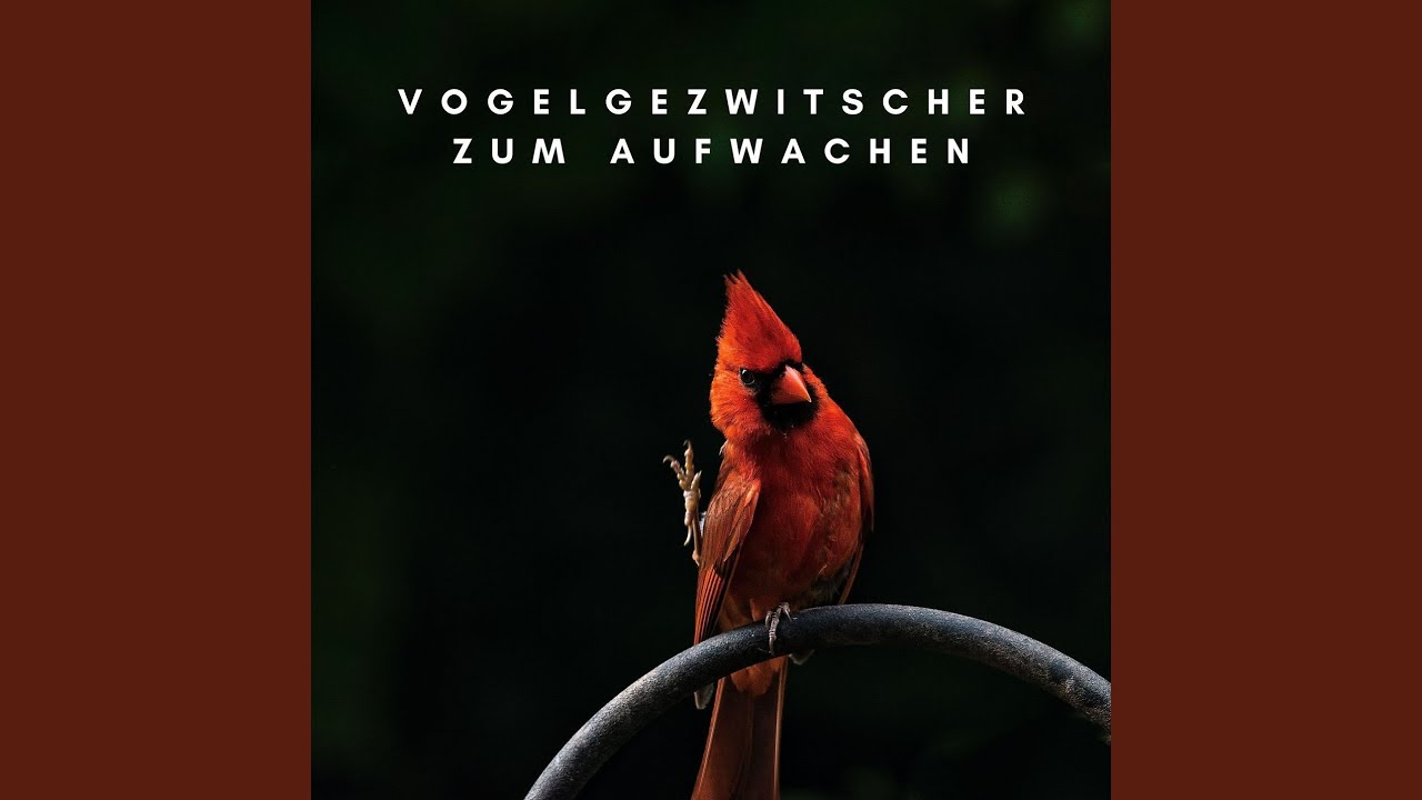 Gute Musik für Positive Energie - YouTube