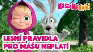 Máša a Medvěd 🐻👧 Lesní pravidla pro Mášu neplatí😎⚡️ Kolekce epizod 🎬