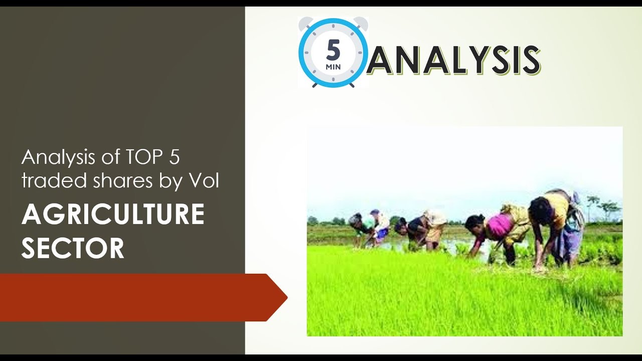 5 Minute Fundamental Analysis on AGRICULTURE Sector || Avanti - KRBL - KSCL - LT FOODS - VENKY'S ||