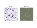 HANDLOOM DESIGN GENERATION USING GENERATIVE NETWORKS  || Final Year Projects || Python Projects ||