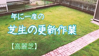 芝生の更新作業【高麗芝】