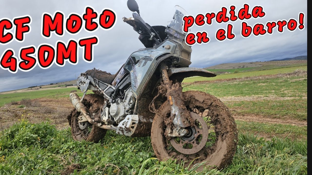 La chinita se queda a dormir al raso!.