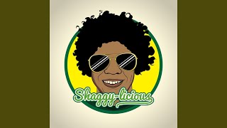 It Wasn't Me - Shaggy-licious