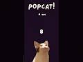 meow #cat #comedy #comedyshorts 🐱🐈💗💓💞💕