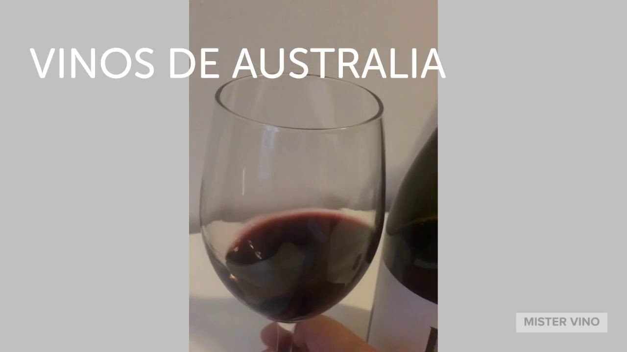 Mister Vino - YouTube