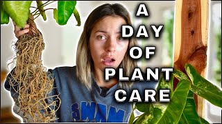 How I Display Houseplants to Keep Them Exciting | Plant Care Day  REPOTTING & Plant Updates.