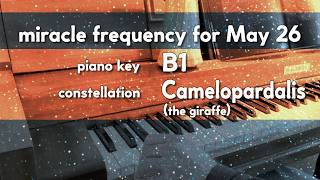 Miracle Frequency for May 26 [piano key B1, constellation Camelopardalis]