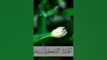 أواخر سورة الحشر -  عبد العزيز العوفي