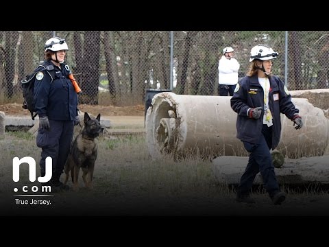 Meet the N.J. rescue dogs that save lives in disasters