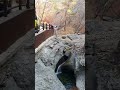 #서산 김태권 하모니카연주 #바람의소원 #배경 청송주왕산