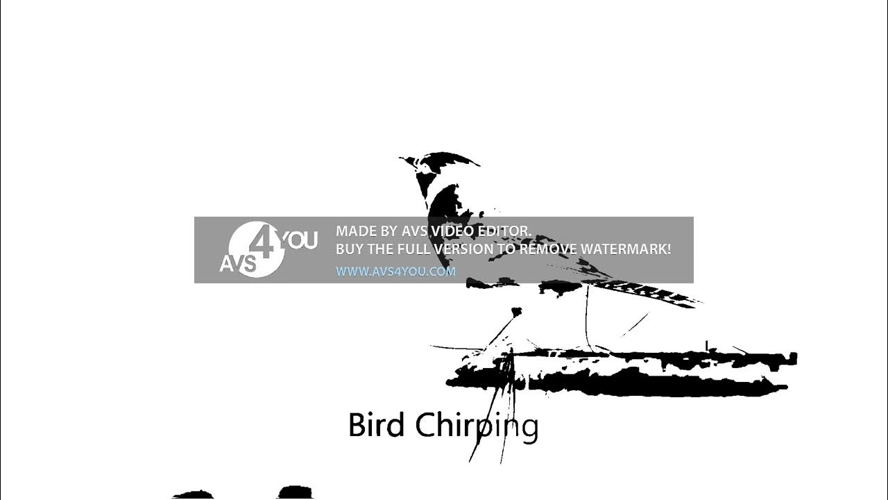 Bird Chirping Sound Effect in White And Black Reversed - YouTube