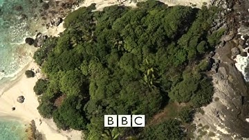 سورة ق للقارء الشيخ حمدى شعيب من جمهورية مصر العربيه محافظة مطروح مسجد الفتح