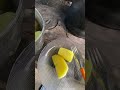 Manhã Gostosa na Roça: Esse foi Nosso Café de Hoje!