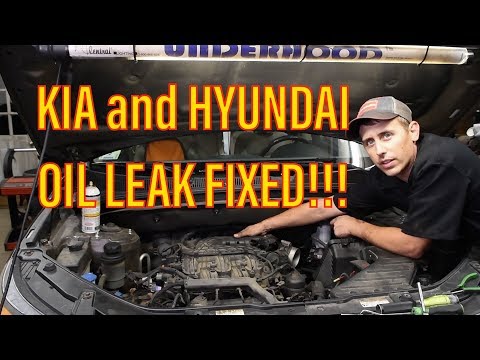 kia-and-hyundai-3.5-oil-leak-diagnosis-and-repair