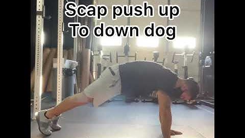 Scap Push up to Down Dog