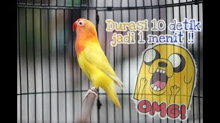 Menambah  Durasi 10 Detik Jadi 1menit Terbukti