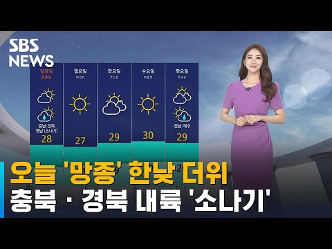 [날씨] 오늘 '망종' 한낮 더위…충북 · 경북 내륙 '소나기' / SBS