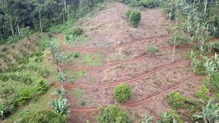 Adaptive Contour Access Path Wealth