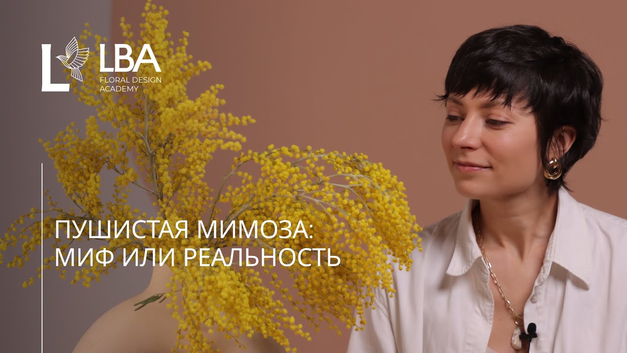 КАК СОХРАНИТЬ МИМОЗУ СВЕЖЕЙ | LBA СОВЕТЫ