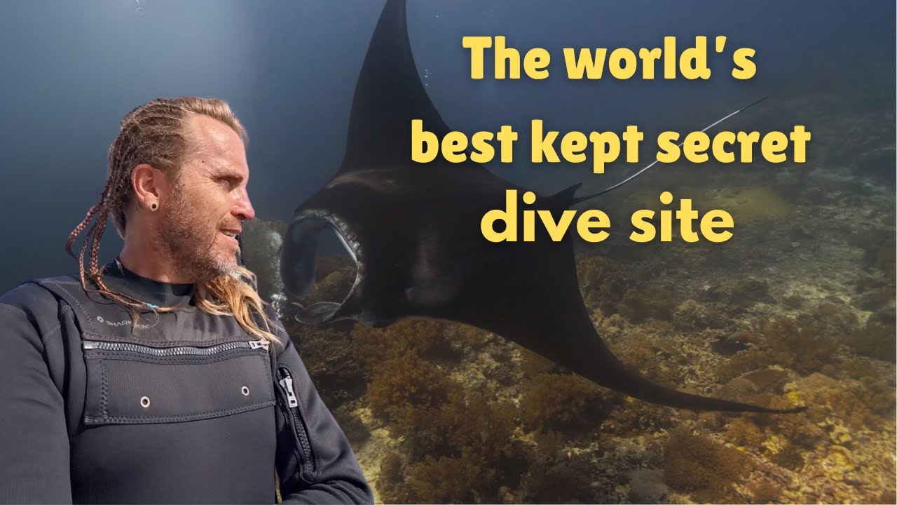 ⁣The World’s Most Untouched Reef | Scuba Diving in Tubbataha, Philippines