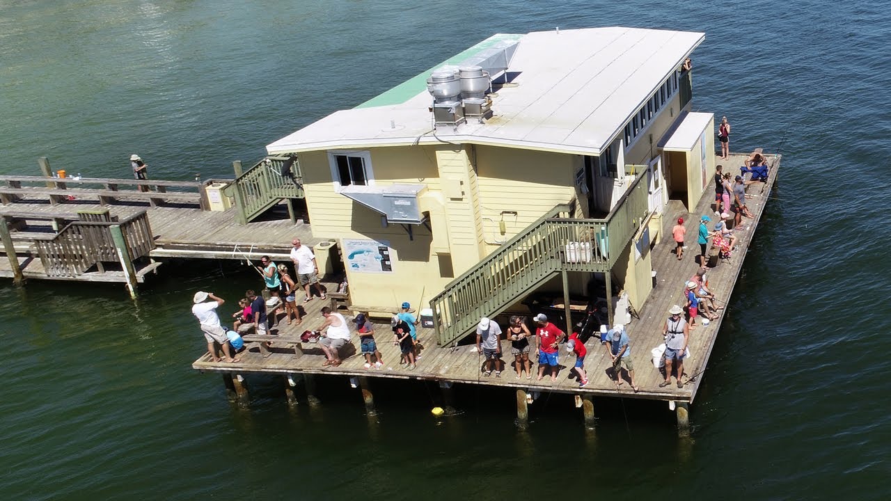 Despite Red Tide Visitors Enjoying Anna Maria Island YouTube