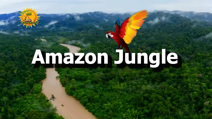World of Amazon Jungle | Episode 1: The Amazon Rainforest | Free Documentary Nature | #amazonjungle