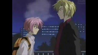 Gravitation - Kiss Me