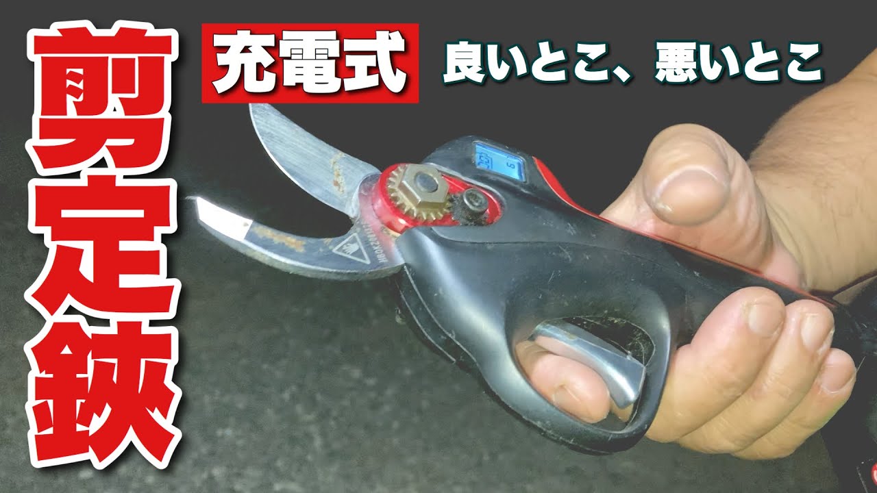 This article reviews and explains how to use the electric pruning