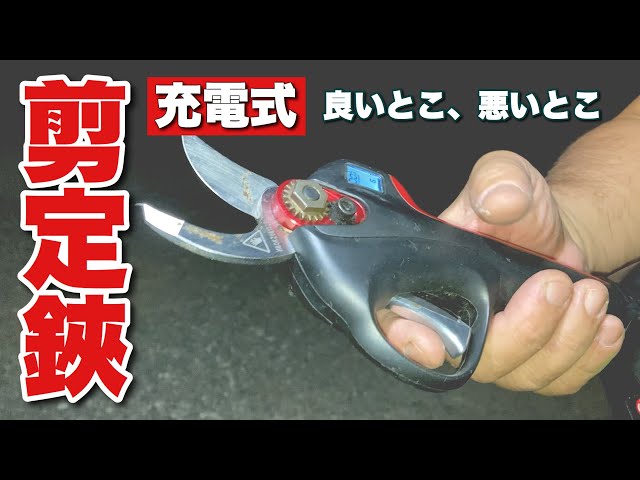 This article reviews and explains how to use the electric pruning