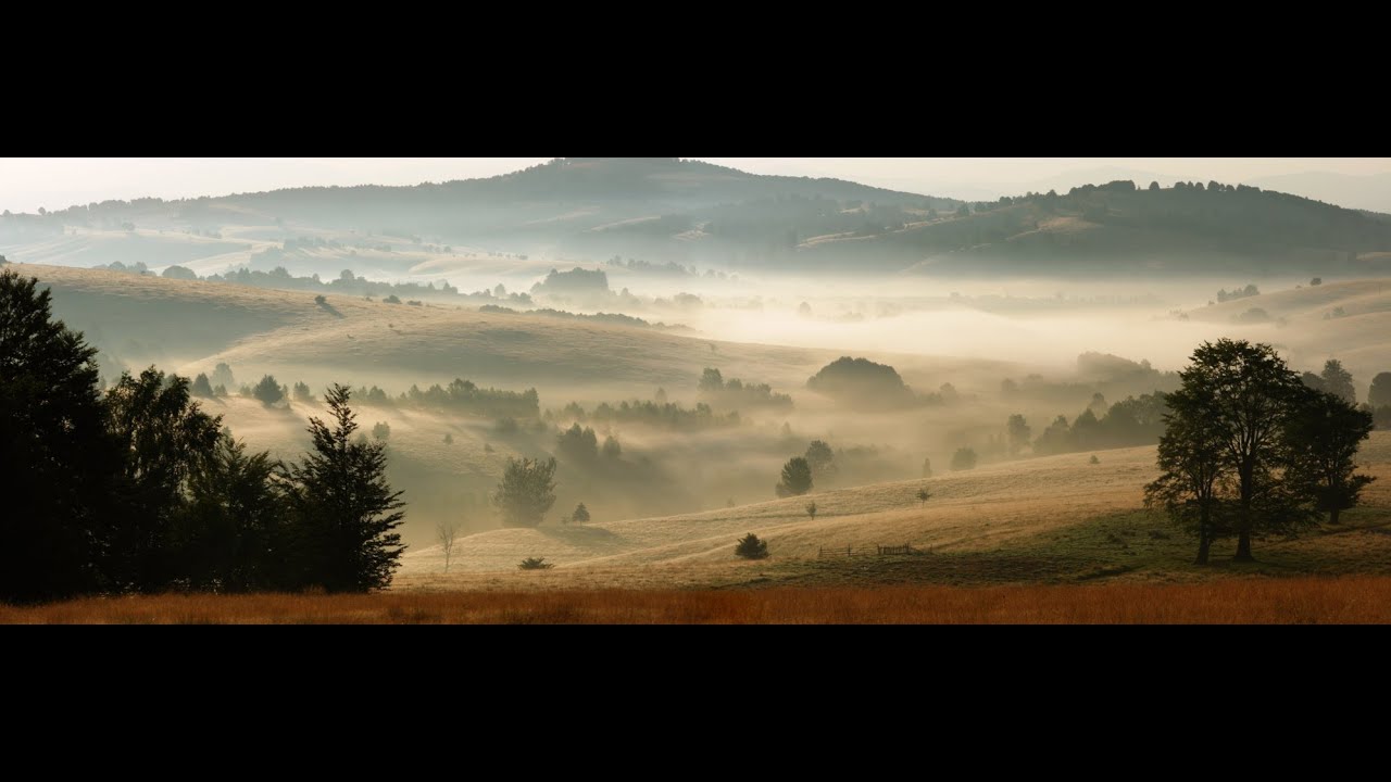 BN167 in the Banat Mountains