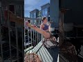 Flexibility Easy Stretch Yoga Flow #shorts #yogagirl #flexibilityyoga #flexible #flexibility #yoga