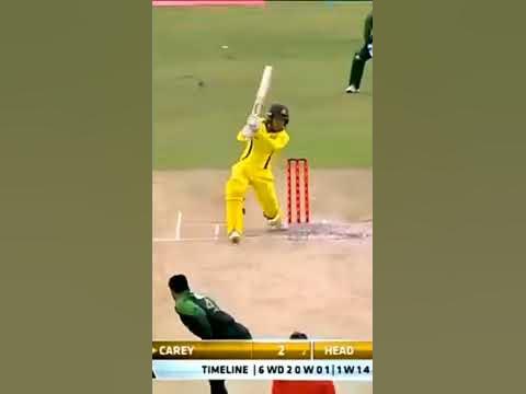 Shadab khan the gun fielder best catches# short - YouTube