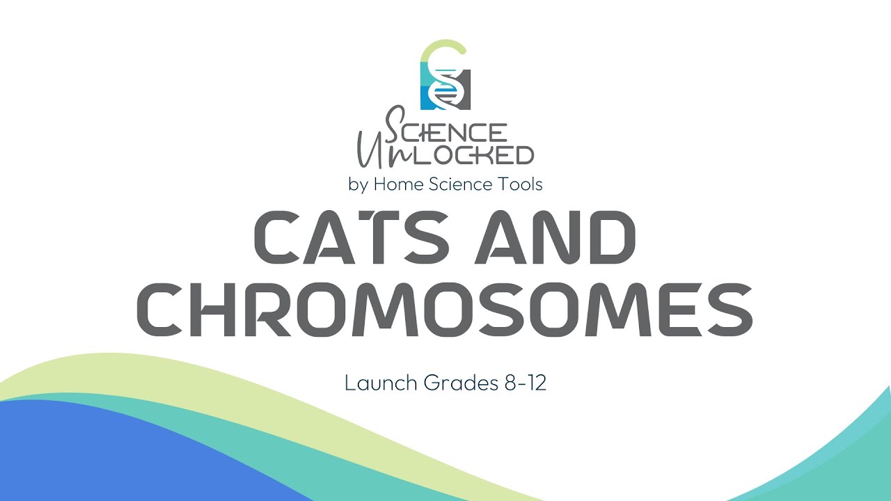 Cats and Chromosomes Science Unlocked Kit for Grades 8-12