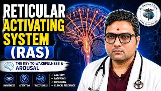 RETICULAR ACTIVATING SYSTEM