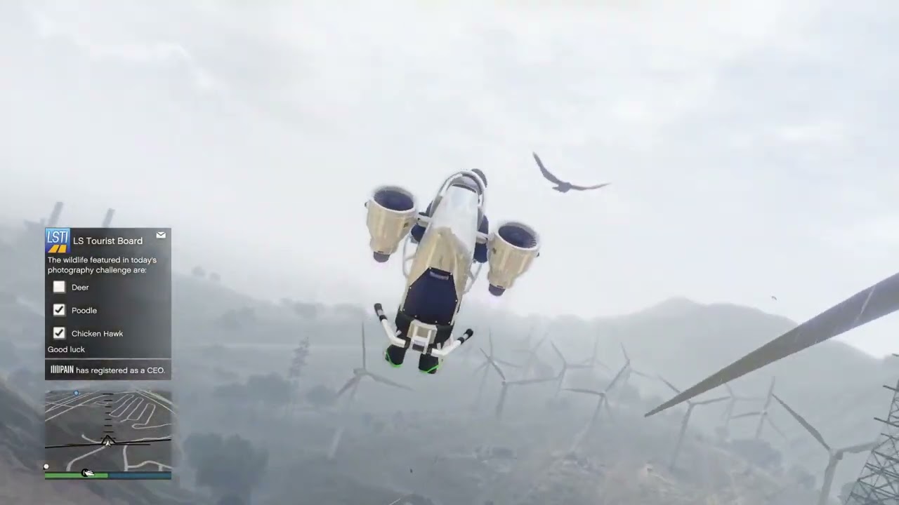 Lucky Wheel - Shoot Animals Photography - Poodle... - Bush Mugger - Chicken Hawk - G's Cache - Deer