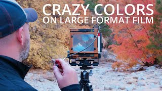The Best Fall Colors I've Photographed Yet | Large Format Photography