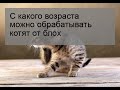 С какого возраста можно обрабатывать котят от блох