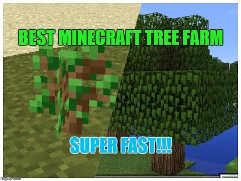 HOW TO GROW TREES SUPERFAST! BEST MINECRAFT TREE FARM! - YouTube