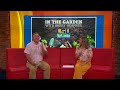 Louisiana Living: In The Garden