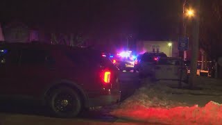 Rockford man accused of killing K9 Nyx will stand trial