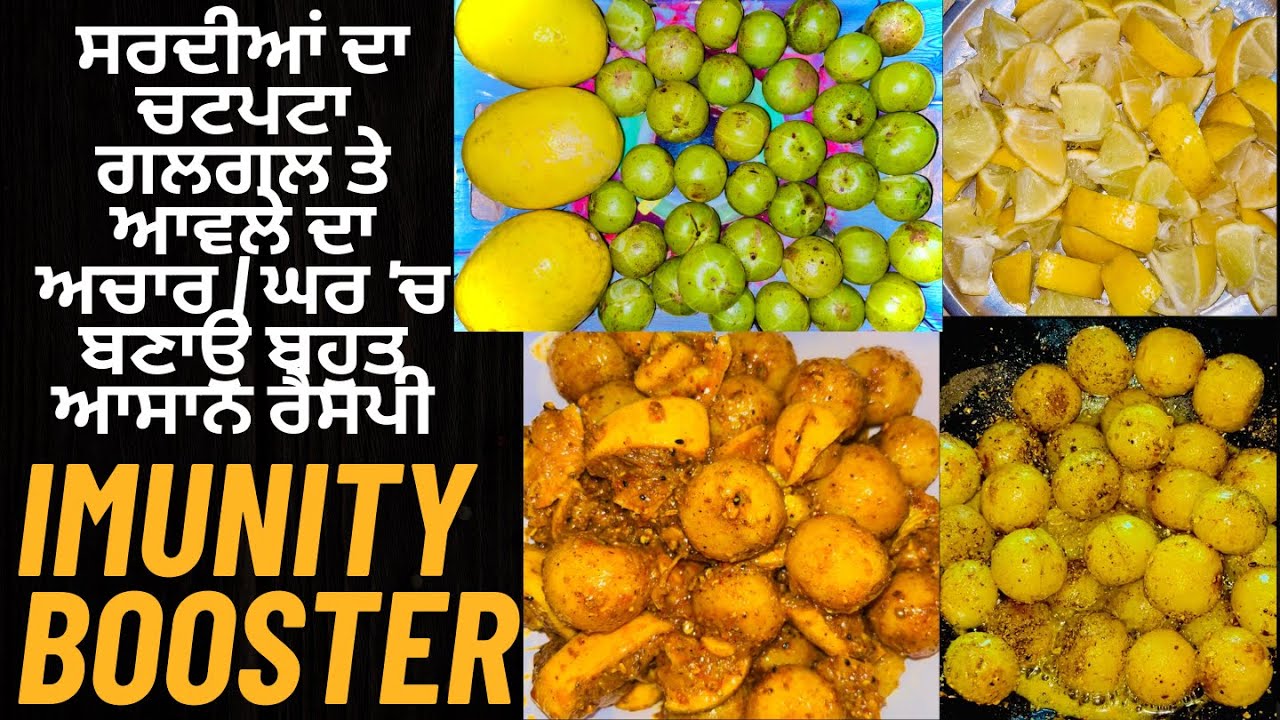 ਆਵਲਾ ਗਲਗਲ ਦਾ ਅਚਾਰ | Amla Galgal Chatpata Achar | Quick & Tasty Recipe / Immunity Booster