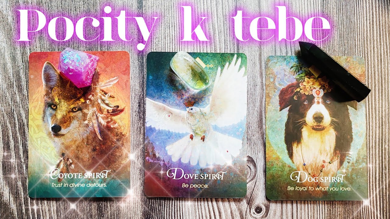 Čo k tebe cíti práve teraz? 💋🫶+odkazy & iniciály #výkladkaret #tarot