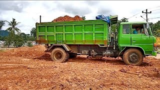Dump truk Hino ranger bongkar muatan tanah