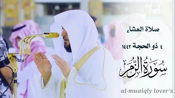 هدوء وكرد آسر من الشيخ ماهر المعيقلي _ لخواتيم سورة الزمر | صلاة العشاء 4 ذو الحجة 1442 |